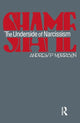 Book cover of: Shame. By: Andrew P. Morrison