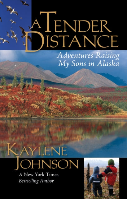 Book cover of: Tender Distance. By: Kaylene Johnson