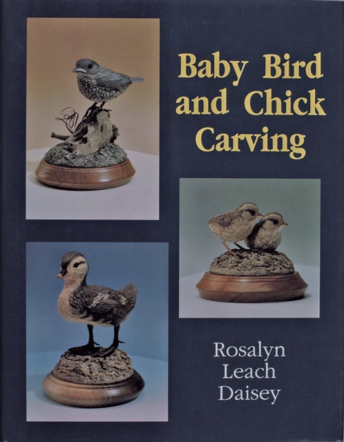 Book cover of: Baby Bird and Chick Carving. By: Rosalyn Daisey