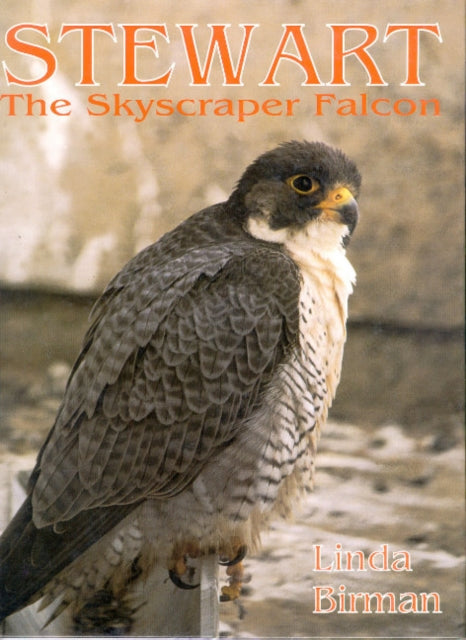 Book cover of: Stewart. By: Linda Birman