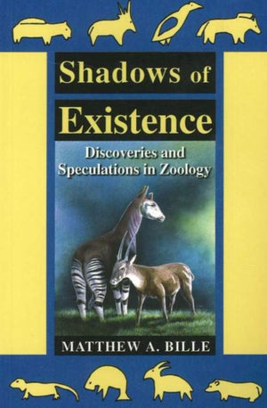 Shadows of Existence