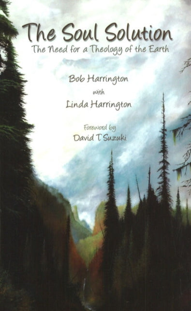 Book cover of: Soul Solution. By: Harrington, Robert F.