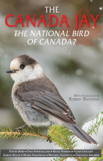 Book cover of: Canada Jay. By: Bird David