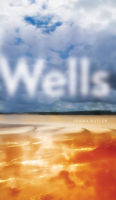 Book cover of: Wells. By: Jenna Butler