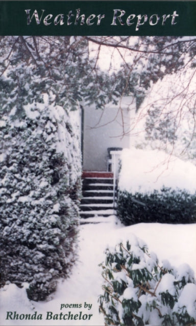 Book cover of: Weather Report