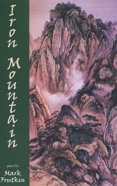 Book cover of: Iron Mountain