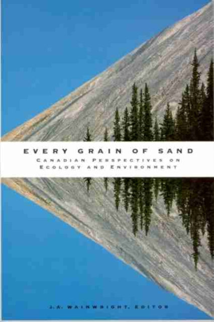 Book cover of: Every Grain of Sand. By: J.A. Wainwright
