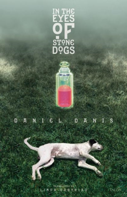 Book cover of: In the Eyes of Stone Dogs. By: Daniel Danis