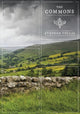 Book cover of: Commons. By: Stephen Collis