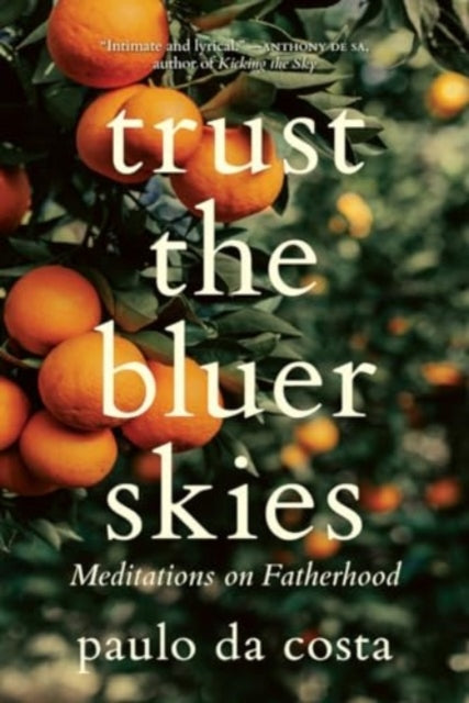 Book cover of: Trust the Bluer Skies. By: paulo da costa