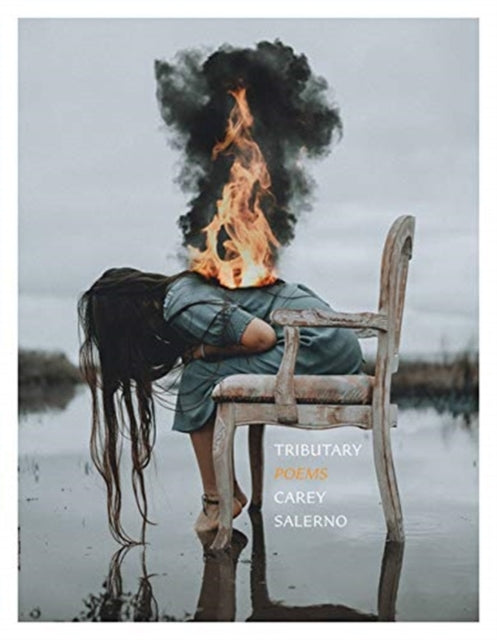 Book cover of: Tributary. By: Carey Salerno