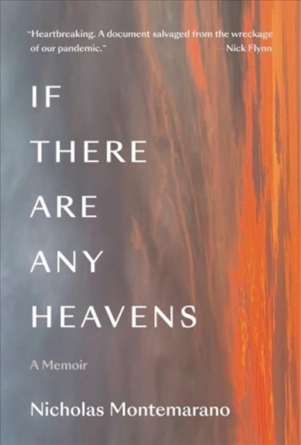 Book cover of: If There Are Any Heavens. By: Nicholas Montemarano
