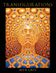 Book cover of: Transfigurations. By: Alex Grey