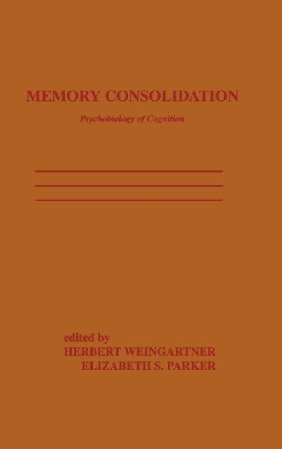 Memory Consolidation