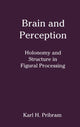 Book cover of: Brain and Perception