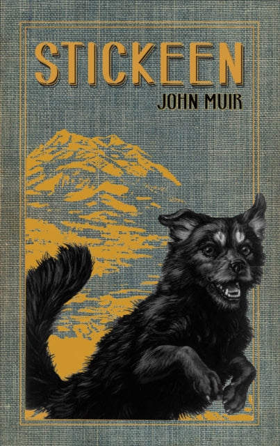 Book cover of: Stickeen. By: John Muir