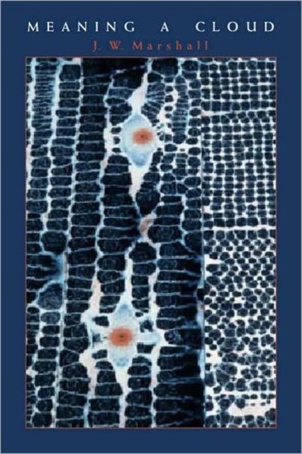 Book cover of: Meaning a Cloud. By: J. W. Marshall