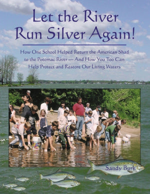 Let the River Run Silver Again!