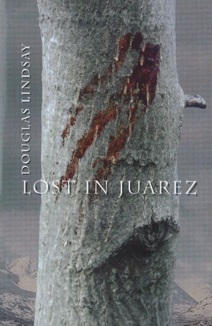 Book cover of: Lost in Juarez
