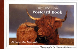 Highland Cow Postcard Book