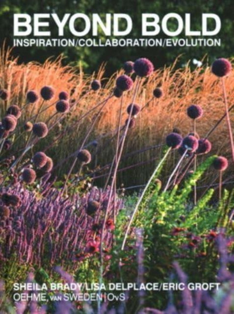Book cover of: Beyond Bold: Inspiration, Collaboration, Evolution. By: Sheila Brady