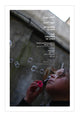 Book cover of: Witnesses to War: The Children of Syria