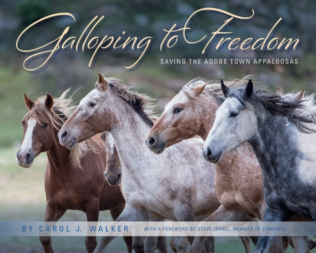 Book cover of: Galloping to Freedom. By: Carol Walker