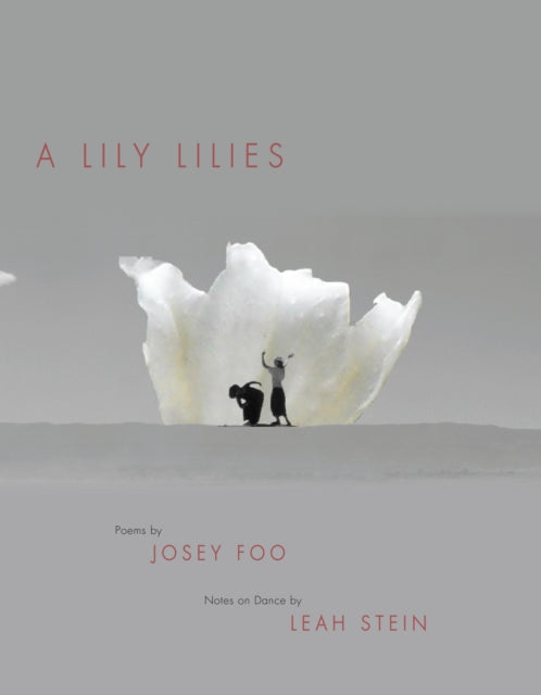 Book cover of: Lily Lilies. By: Josey Foo