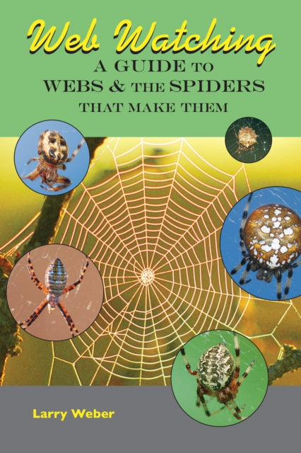 Book cover of: Web Watching. By: Larry Weber