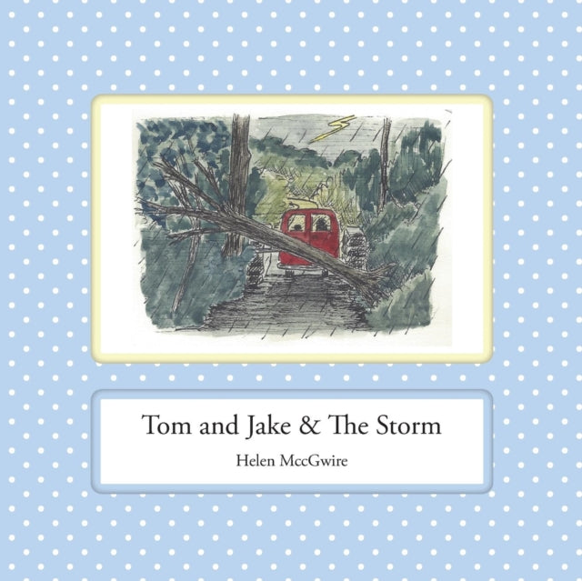 Book cover of: Tom and Jake & the Storm