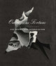 Book cover of: Outrageous Fortune - Jay DeFeo and Surrealism. By: Dana Miller