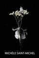 Book cover of: Grief Is an Origami Swan. By: Michèle Saint-Michel