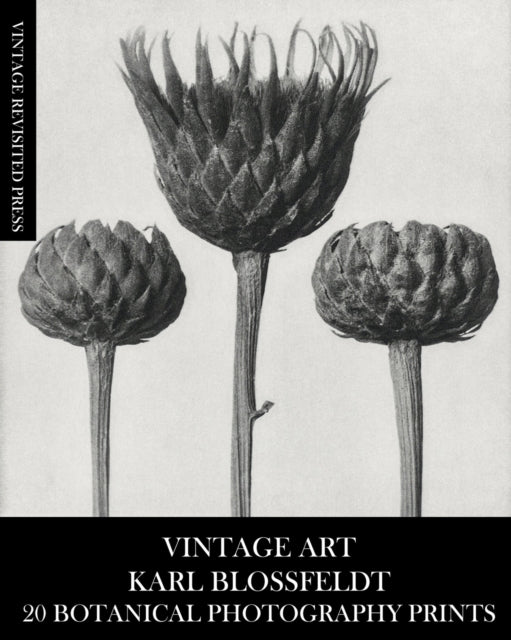Book cover of: Vintage Art. By: Vintage Revisited Press