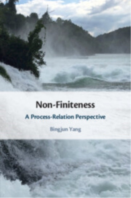 Book cover of: Non-Finiteness. By: Bingjun Yang