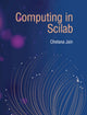 Book cover of: Computing in Scilab. By: Chetna Jain