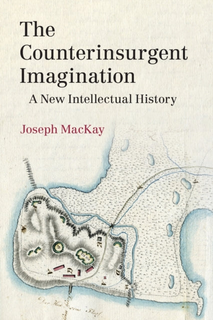 The Counterinsurgent Imagination