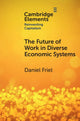 Book cover of: Future of Work in Diverse Economic Systems. By: Daniel Friel