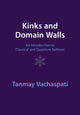 Book cover of: Kinks and Domain Walls. By: Tanmay Vachaspati
