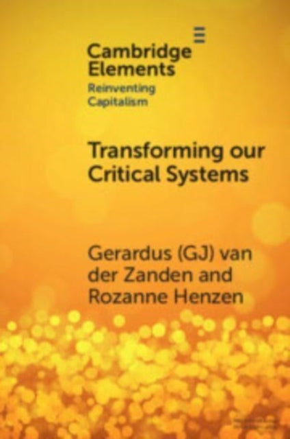 Book cover of: Transforming our Critical Systems. By: Gerardus van der Zanden
