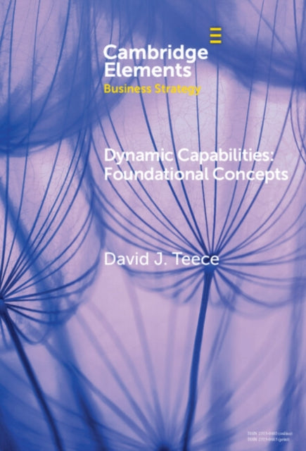 Book cover of: Dynamic Capabilities