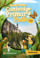 Book cover of: Cambridge Primary Path Foundation Flashcards