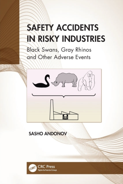 Book cover of: Safety Accidents in Risky Industries. By: Sasho Andonov