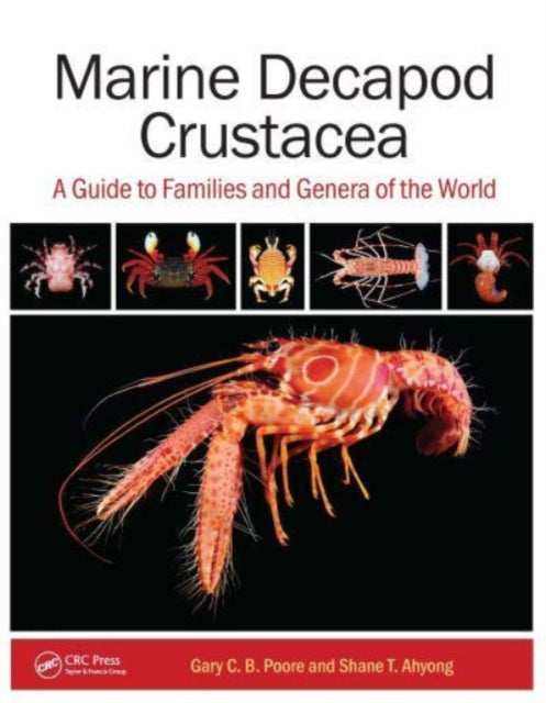 Book cover of: Marine Decapod Crustacea. By: Gary C. B. Poore