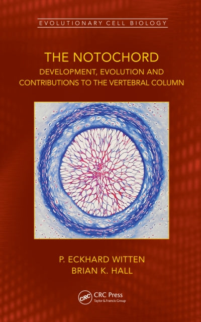 Book cover of: Notochord. By: P. Eckhard Witten