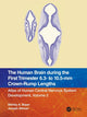 Book cover of: Human Brain during the First Trimester 6.3- to 10.5-mm Crown-Rump Lengths. By: Shirley A. Bayer
