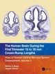 Book cover of: Human Brain during the First Trimester 15- to 18-mm Crown-Rump Lengths. By: Shirley A. Bayer