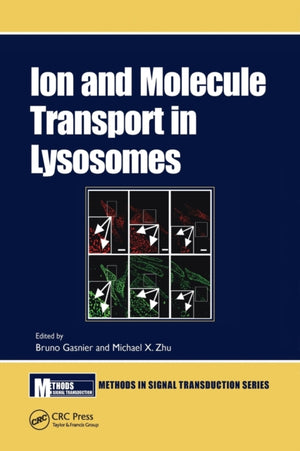 Ion and Molecule Transport in Lysosomes