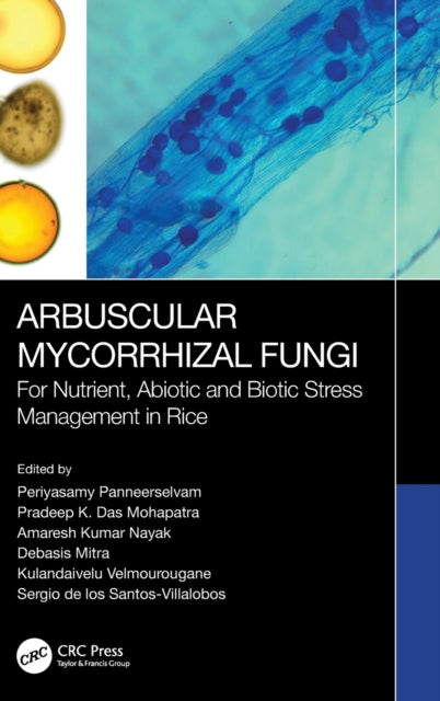 Book cover of: Arbuscular Mycorrhizal Fungi. By: P. Panneerselvam