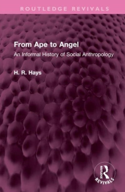 Book cover of: From Ape to Angel. By: H. R. Hays