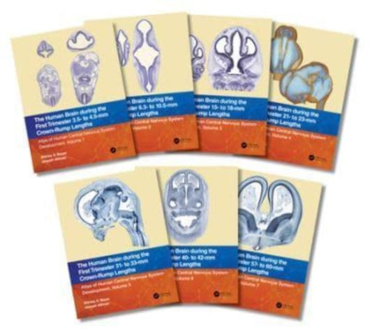 Book cover of: Human Brain During the First Trimester. By: Shirley A. Bayer